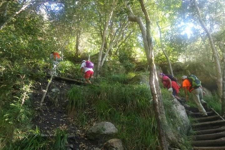 Midway up Nursery Ravine